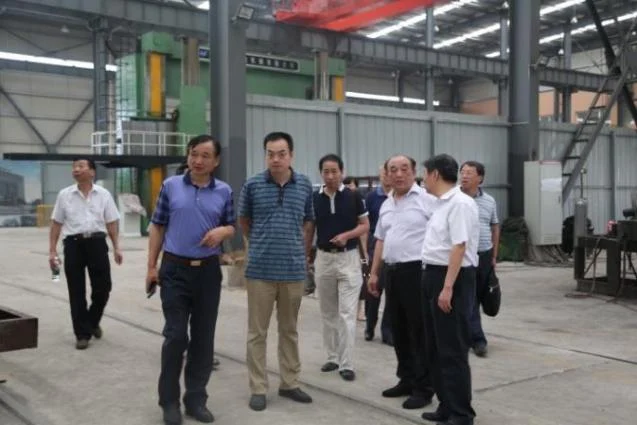 Leaders from Ezhou's people's congress, economic and information commission, and economic development zone visit our factory
